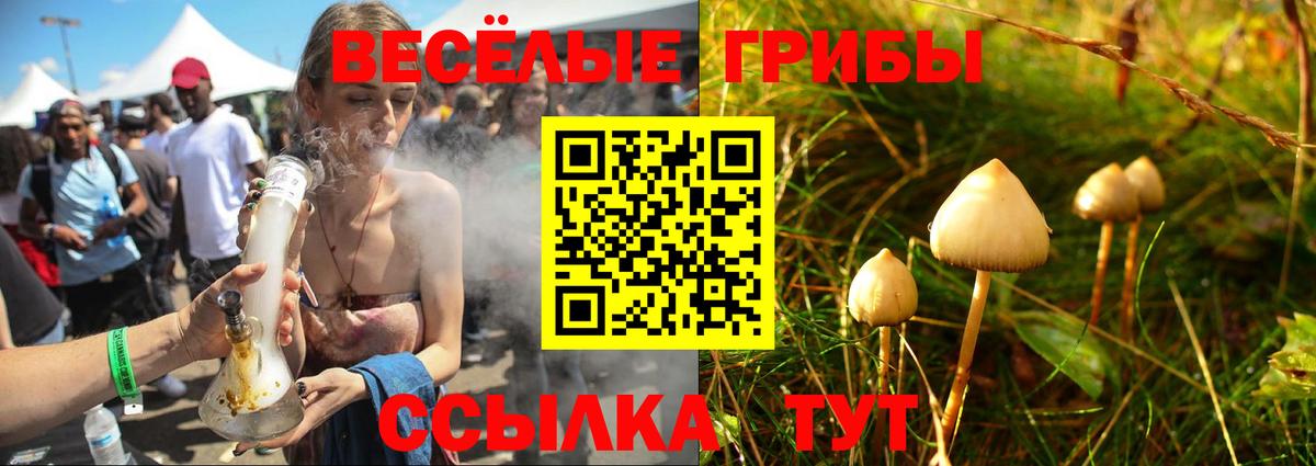 Псилоцибиновые грибы мухоморы  Галлюциногенные грибы GOLDEN TEACHER  Сокол  Вход с VPN 