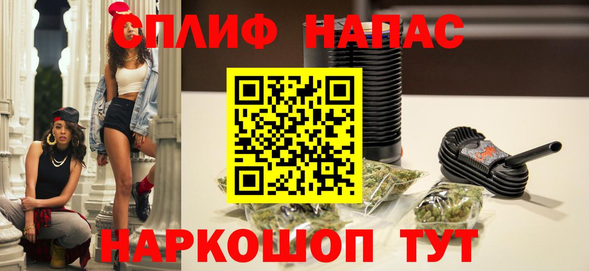 Канабис гибрид Сокол